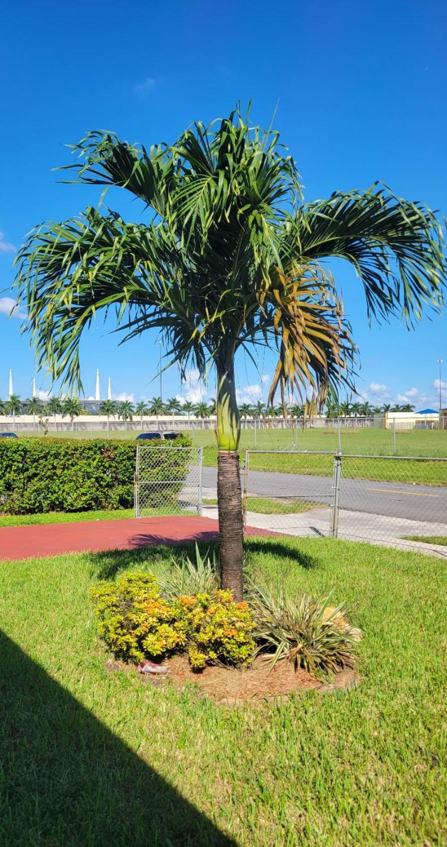 Ferienhaus Book Me, 3mins Hard Rock Stadium Miami Gardens